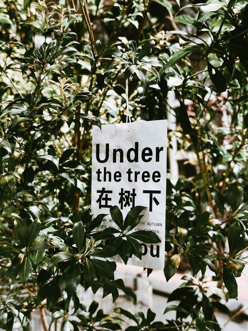 株式会社ブランディアーク 13